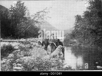 Ein Blick in der Nähe von Skagway, Alaska, entlang des White Pass und der Yukon Route (W.P. und Y. Route), einer historischen Eisenbahn, die eine Schlüsselrolle beim Klondike Gold Rush und der Entwicklung der alaskanischen Wirtschaft spielte. Stockfoto