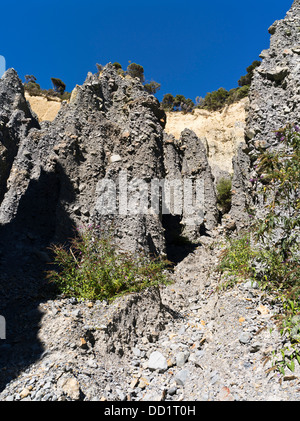 dh Putangirua Pinnacles WAIRARAPA NEUSEELAND Geologische Gesteinsformation Erdsäulen Aorangi Ranges Talgeologie Erosionssäule Stockfoto