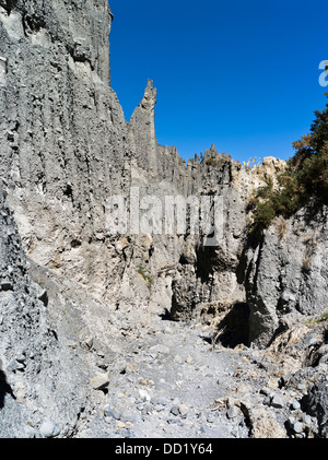 dh Putangirua Pinnacles WAIRARAPA NEUSEELAND Geologische Gesteinsformation Erdsäulen Aorangi Ranges Talklippen Erosion Stockfoto