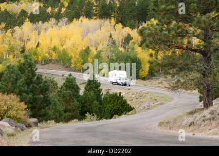 Herbstlaub in Utah, USA Stockfoto