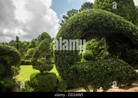 Pearl Mönchsorden ohne gärtnerische Erfahrung weggeworfene Pflanzen verwandelte sich in eine erstaunliche Formschnitt Wunderland in seinem ehemaligen Maisfeld in einem kleinen Dorf im ländlichen South Carolina. Stockfoto