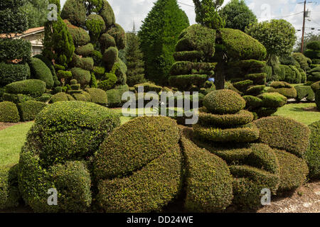 Pearl Mönchsorden ohne gärtnerische Erfahrung weggeworfene Pflanzen verwandelte sich in eine erstaunliche Formschnitt Wunderland in seinem ehemaligen Maisfeld in einem kleinen Dorf im ländlichen South Carolina. Stockfoto