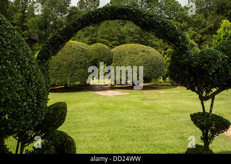 Pearl Mönchsorden ohne gärtnerische Erfahrung weggeworfene Pflanzen verwandelte sich in eine erstaunliche Formschnitt Wunderland in seinem ehemaligen Maisfeld in einem kleinen Dorf im ländlichen South Carolina. Stockfoto