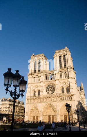 NOTRE DAME KATHEDRALE ILE DE ZITIEREN PARIS FRANKREICH Stockfoto