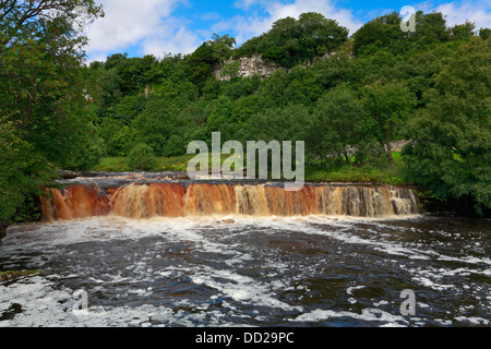 Der Fluß Swale bei Wain Wath Kraft durch Cotterby Narbe in der Nähe von Keld, Swaledale, North Yorkshire, Yorkshire Dales National Park, England, UK. Stockfoto