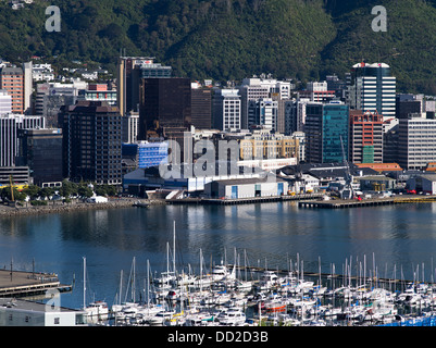 dh Lambton Harbour WELLINGTON NEUSEELAND Chaffers Marina Yachten Wellington Hafenpromenade City Skyline tagsüber Stadtbild Stockfoto
