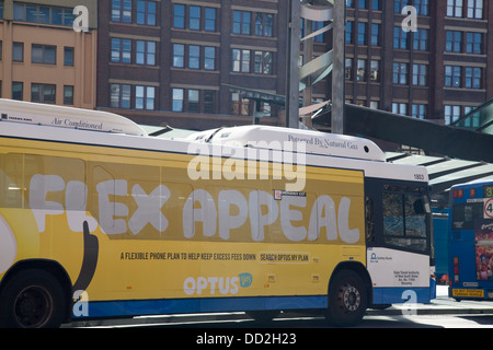 Sydney-einzelne Doppeldecker-Bus in lee Street, Chippendale, sydney Stockfoto