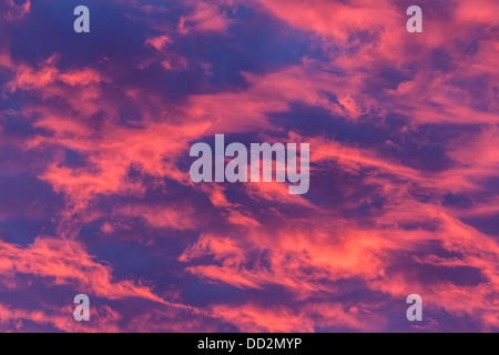 Hellere rosa Wolken aus einem lebendigen Sonnenuntergang gesetzt vor blauem Himmel, sorgt für eine helle natürliche abstrakt Stockfoto