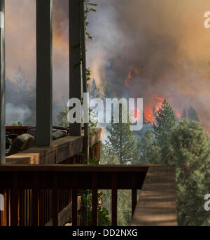 Buck Meadows, CA, USA. 23. August 2013. Feuer klettert näher zu Hause entlang Cliffton Wy in Pine Mountain Lake CA. Rim Fire in der Stanislaus National Forest entlang Highway 120 wächst weiter. Laut dem US Forest Service ab Freitag Aug. 23. 2013 am Nachmittag das Feuer auf 125.620 Hektar mit nur 5 % Containment mit mehr Evakuierungen in Tuolumne City, CA und Umgebung entlang der Autobahn 108 angewachsen ist. In mehrere Richtungen einschließlich Richtung Yosemite National Park breitet sich das Feuer weiter. Bildnachweis: Marty Bicek/ZUMAPRESS.com/Alamy Live-Nachrichten Stockfoto