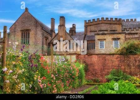 Forde Abtei, Dorset, Somerset, England, Vereinigtes Königreich Stockfoto