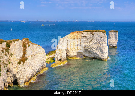 Studland, Purbeck, Old Harry Rocks, Dorset, England, Vereinigtes Königreich Stockfoto