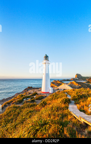 Castlepoint Leuchtturm, Wairarapa, Neuseeland, bei Sonnenaufgang. Stockfoto