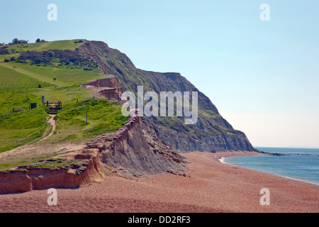 Blick nach Osten von einladendsten Strand in Richtung East Ebb Point auf der SW Coastal Path, Dorset, England, UK Stockfoto