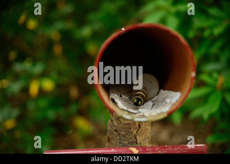 Eine kreisförmige Briefkasten Stockfoto