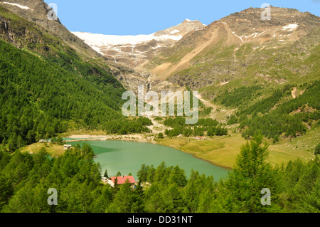 Schweiz - Lago Bianco - aus dem Bernina-Express-Zug - Berg Kulisse - Piz Bernina + Piz Palu - Sommer Sonne Stockfoto