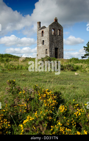 Bodmin Moor an Schergen in Poldark Land zeigt die Hurlers standing Stones, Houseman das Maschinenhaus und ein keltisches Kreuz. eine UK Stockfoto