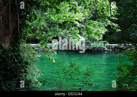 Sorgue saubere grüne Flusswasser, Fontaine de Vaucluse, Provence, Frankreich Stockfoto