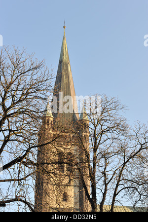 Kirche St. Karl Borromäus, Wroclaw, Polen Stockfoto