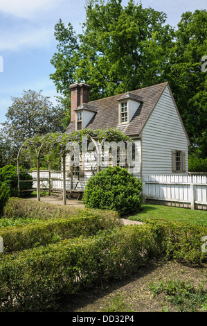 Glyzinien an Pergola, Catherine Blaikley House, Duke of Gloucester
