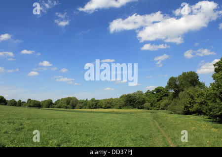 Das Dorf Mickleham zwischen Dorking und Leatherhead, Surrey, England UK Stockfoto