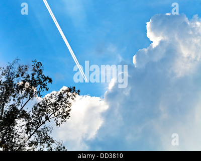 Spur von Flugzeug in blauen Himmel im Sommerabend Stockfoto