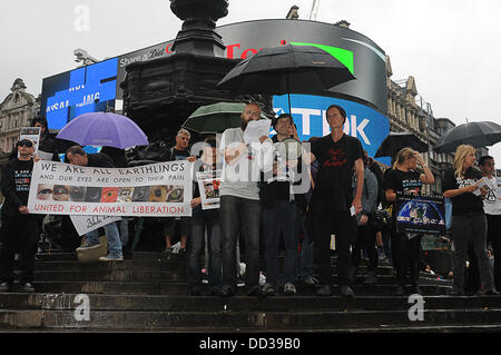 London, UK. 24. August 2013. Demonstranten der internationalen Demonstration der Animal Liberation gegen die Schlachtungen von Tieren am Picadilly Circus in London. Bildnachweis: Siehe Li/Alamy Live News Stockfoto