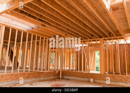 Neue single Familie Haus Holzrahmen - Virginia USA Stockfoto