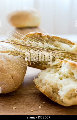 Ofenfrisches hausgemachtes Brot und Weizen-Kurse Stockfoto