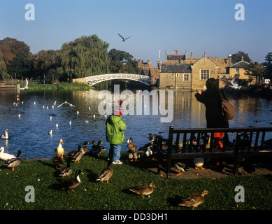 Fütterung der Vögel durch die chinesische Brücke, Godmanchester, Huntingdonshire, Cambridgeshire Stockfoto