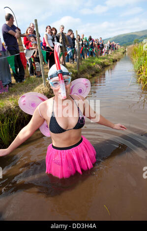 Llanwrtyd Wells, UK. 25. August 2013. Lisa Cherry von N. London kommt mit ihrer Gruppe der südlichen Sumpf Feen zu The Bog. Der jährlichen Weltmeisterschaft Bogsnorkelling findet jeden August Bank Holiday im berühmten Wän Rhydd Bog.in die Waliser der Cambrian Mountains in der Nähe von der kleinsten Stadt in Großbritannien bekannt für seine skurrilen Sport. Die Idee entstand im Jahr 1985 durch Vermieter Gordon Green The Neuadd Arms Pub Llanwrtyd Wells auf die Karte setzen. Weltmeister ist Andrew Holmes mit einer Zeit von 84secs im Jahr 2011. Foto: Graham M. Lawrence/Alamy Live-Nachrichten. Stockfoto