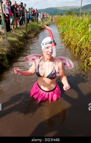 Llanwrtyd Wells, UK. 25. August 2013. Lisa Cherry von N. London kommt mit ihrer Gruppe der südlichen Sumpf Feen zu The Bog. Der jährlichen Weltmeisterschaft Bogsnorkelling findet jeden August Bank Holiday im berühmten Wän Rhydd Bog.in die Waliser der Cambrian Mountains in der Nähe von der kleinsten Stadt in Großbritannien bekannt für seine skurrilen Sport. Die Idee entstand im Jahr 1985 durch Vermieter Gordon Green The Neuadd Arms Pub Llanwrtyd Wells auf die Karte setzen. Weltmeister ist Andrew Holmes mit einer Zeit von 84secs im Jahr 2011. Foto: Graham M. Lawrence/Alamy Live-Nachrichten. Stockfoto