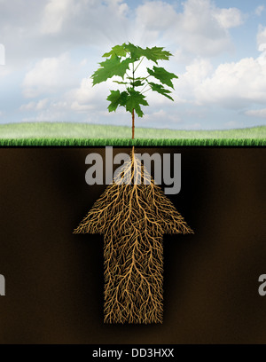 Stamm der Erfolg als ein Wachstum Geschäftskonzept mit einem neuen sprießende Baum aus unterirdischen Wurzeln, geformt wie ein Pfeil, der als ein Finanzsymbol Potenzial für zukünftige Investitionen geht. Stockfoto