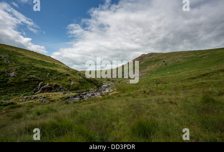 Tavy Spalten mit Blick auf das Tal in Richtung Ger Tor, Dartmoor Nationalpark Devon Uk Stockfoto