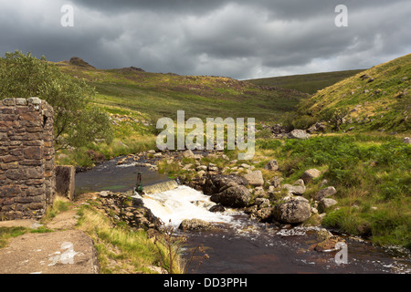 Fluß Tavy auf Tavy Cleave an einem stürmischen Sommer Nachmittag, Dartmoor Nationalpark Devon Uk Stockfoto