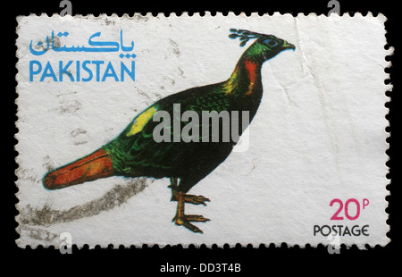 Stempel von Pakistan zeigt Kalij Pheasant, circa 1979 gedruckt Stockfoto