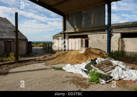 Verlassenen und verfallenen Wirtschaftsgebäuden Cheshire UK Stockfoto