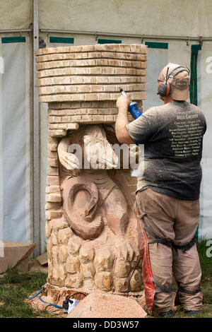 Tabley, Cheshire, UK 25 August, 2013. Steven Kenzora aus Kanada auf der 9. englischen Öffnen Chainsaw Carving Wettbewerb, Cheshire County Showground, Spiel und County Fair, Tabley, Nr Knutsford, Großbritannien. Die Kettensäge Carver Holz (manchmal riesige Bits) schönen Schnitzereien von bis zu 20 Meter hoch zu produzieren. Wenn jeder wird gesucht nach Kunstwerk holz skulptur, Sägemehl, Bildhauer, Holz, Späne, Log, professionell, arbeiten, Kunst, Künstler, Ausschneiden, Kettensäge, Kunstwerke aus grobem Holz Log gemacht. Stockfoto