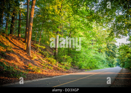 Eine Farbfotografie zeigt eine ländliche Bäumen gesäumten Straße in späten Tag Sonne. Stockfoto