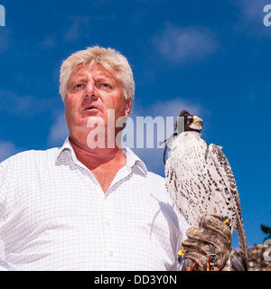 Ein Gerfalke Gerfalken (Falco Rusticolus) in der Falknerei-Anzeige bei Beaulieu, Hampshire, England, Großbritannien, Uk Stockfoto