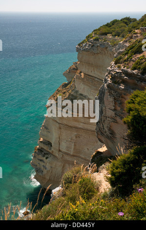 Klippe, Naturpark "La Breña y Marismas de Barbate", Provinz Cádiz, Region Andalusien, Spanien, Europa Stockfoto