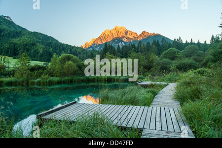 Sava Frühling, Zelenci, Slowenien, gorenjska Stockfoto