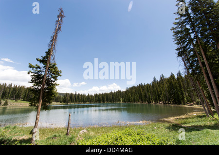 Eines der vielen Seen auf Grand Mesa in der Nähe von Grand Junction, Colorado. Stockfoto