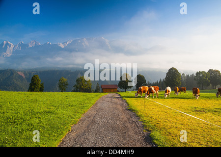 Auf einer Farm in den Bergen Österreichs Stockfoto