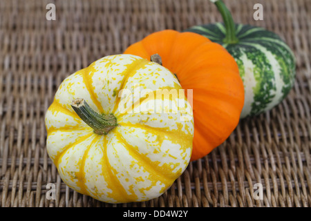 Gelb, orange und grüne Kürbisse auf Wicker Oberfläche mit Textfreiraum Stockfoto