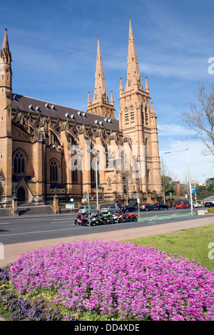 Saint Marys Kathedrale auf dem College street, Stadtzentrum von Sydney, Australien Stockfoto