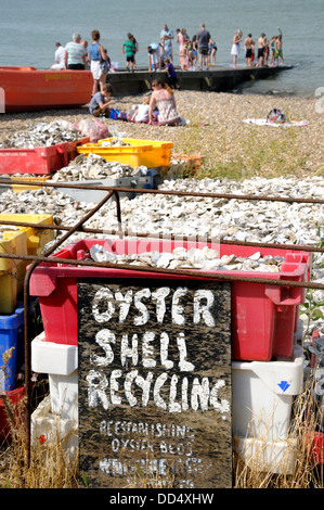 Whitstable, Kent, England, UK. Austernschale recycling (zu helfen, lokale Oysterbeds wieder herzustellen) am Strand Stockfoto