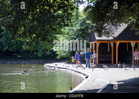 Battersea Bootfahren Teich und Vögel im Sommer - London-UK Stockfoto