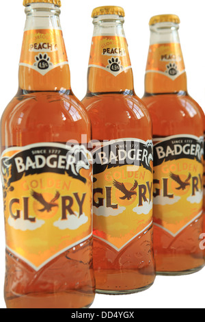 Badger Golden Glory Bierflaschen auf einem weißen Hintergrund ausschneiden Stockfoto