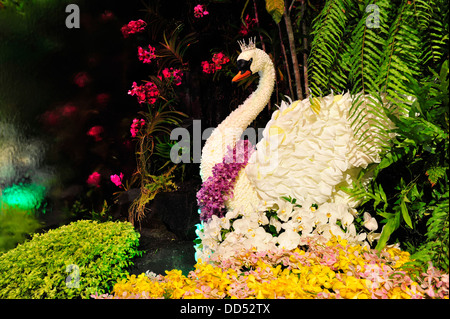 Bangkoks Orchidee Show organisiert von Siam Paragon zum 81. Geburtstag von ihrer Majestät Königin Sirikit von Thailand Stockfoto