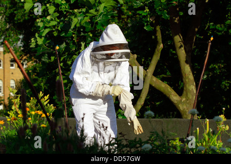Elena Polisano hält einen Bienenstock der Honigbienen auf dem Dach des drei Hirschen Pub in Lambeth bei London Stockfoto